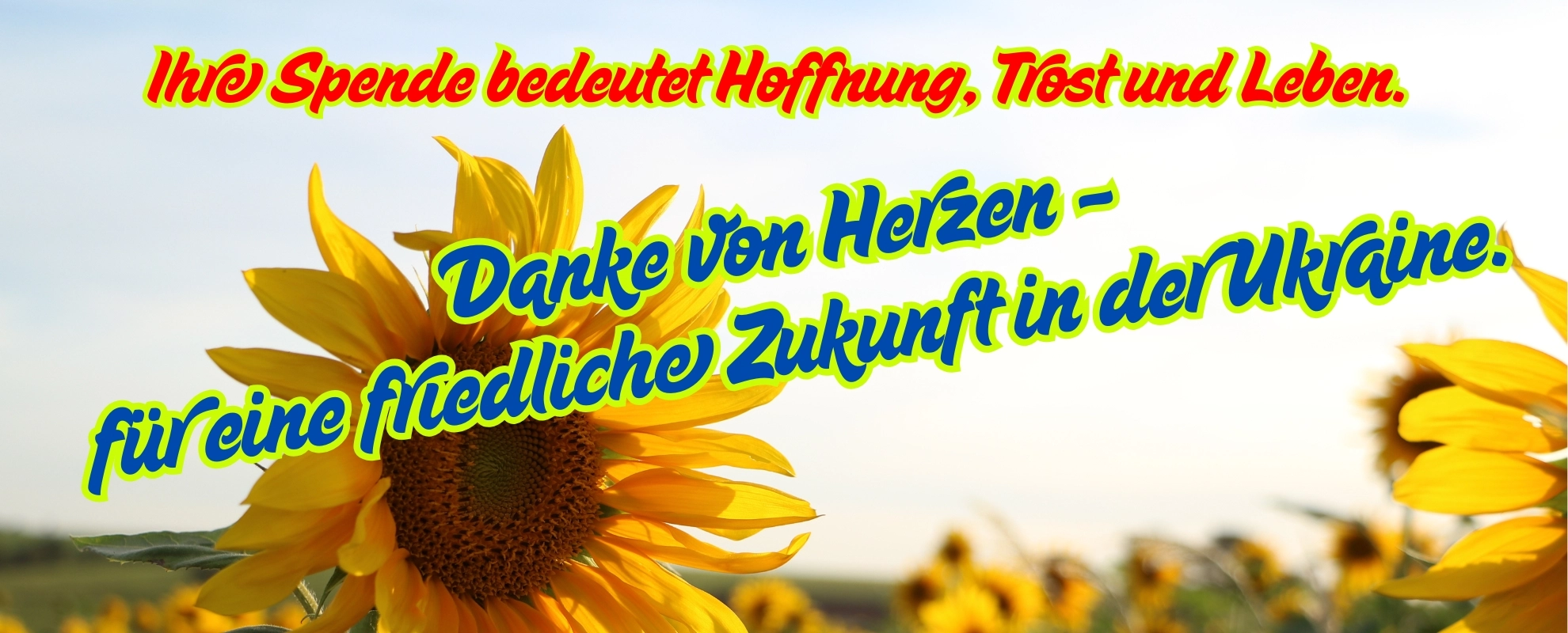 Zukunft in der Ukraine._ergebnis